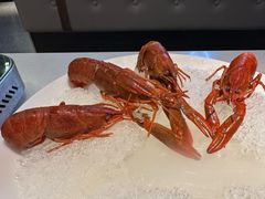 -红盔甲·小龙虾(天钥桥店)