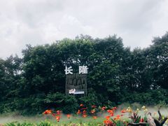 -广州长隆飞鸟乐园