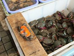 -南沙十九涌渔人码头-南门