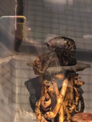 -未来动物城动物主题公园(大悦城店)