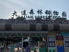 -大连森林动物园