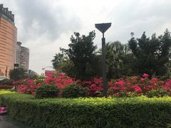 -珠海拱北口岸
