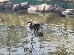 -临沂动植物园