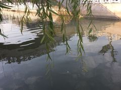 -口岸雕花楼