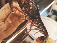 -鼎香缘海鲜自助火锅烤肉(锦辉购物广场店)