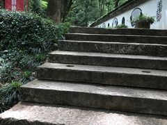 -上海佘山国家森林公园天马山园