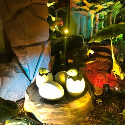 -恐龙探索乐园(磁器口店)