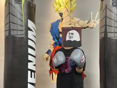 -Super Sy泰拳格斗