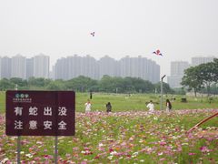 -洋湖国家湿地公园
