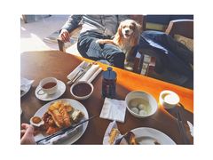 早餐-上海崇明金茂凯悦酒店