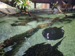 -河川生态园