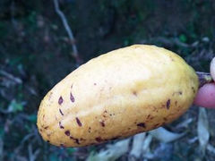 android_upload_pic-大明山自然探索公园