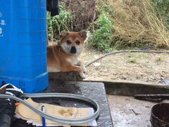 -姥家大锅台水库渔家