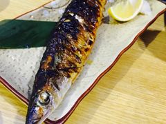 吉川居酒屋-吉川居酒屋(建国北路店)