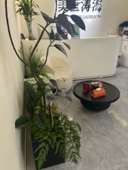 -海涛医疗美容·面部抗衰·注射美鼻