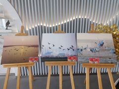 -盐城丹顶鹤湿地生态旅游区