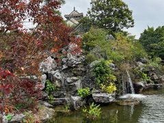 -顺峰山公园