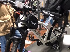 -道路口单车爱瓦士dahon大行