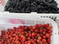 -桃源山庄·摘樱桃·柴火鸡·烧烤团建(龙泉山店)