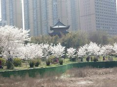 -堤角公园