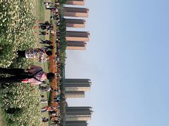 -映月湖中央公园