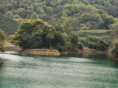 -龙坞茶村
