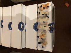 -猫咪博物馆(顶澳仔猫街店)