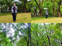 -晓港公园