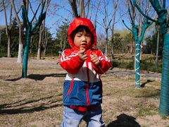 -大兴滨河森林公园