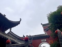 -武汉长春观