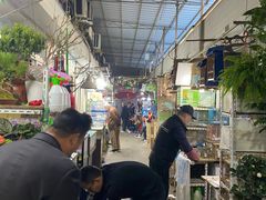 -万商花鸟市场
