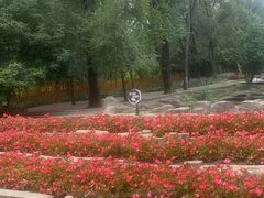 -黑龙江省森林植物园