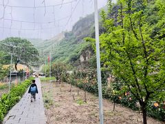 -日光山谷营地乐园