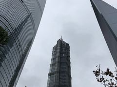 -上海中心大厦