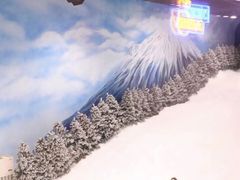 -Mr·Kuma酷么先生雪之乐园