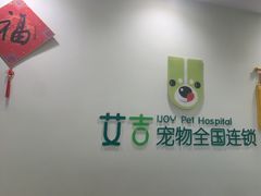 -艾吉宠物医院·疑难杂症转诊中心·猫友好(碧江路院)