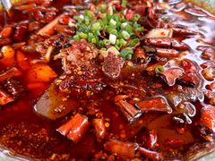 -青城甲(青城山店)