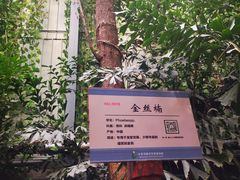 -呀路古热带植物园