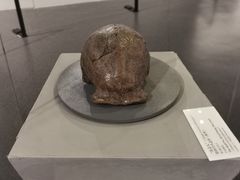 -北京周口店北京人遗址博物馆