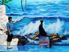-左海海底世界