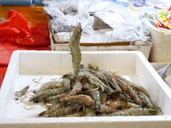 -众彩物流水产市场