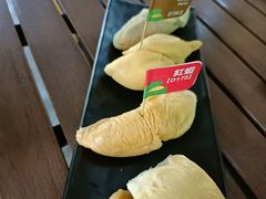 -榴莲BB 四季果园