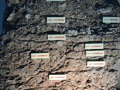 -南越王博物院(王宫展区)