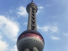 -上海大自然野生昆虫馆(东方明珠·爬宠昆虫探索中心)