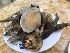-春华海鲜城(广场西苑店)