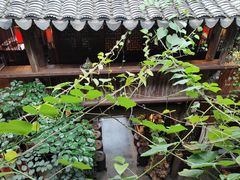 -普洱茶府(博乐广场店)