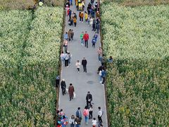 -中国天府农业博览园