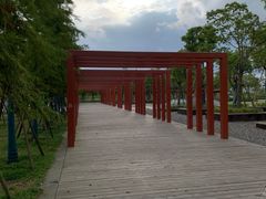 -春花秋色城市公园