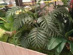 -海底捞火锅(高科广场店)
