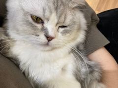 -COLOR PETS 撸猫馆·购猫·猫咖(长风大悦城店)